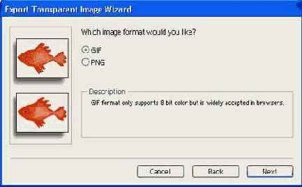 ���� ������� �������� ����������