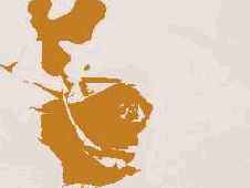 ��� ����������� � �����������