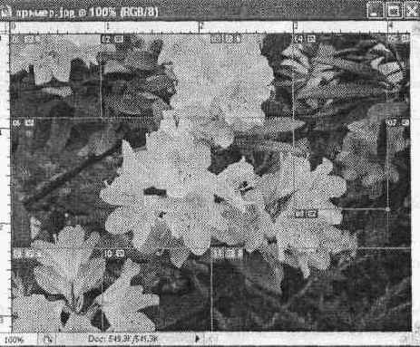 Фрагменты изображения