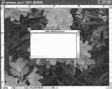 Фрагменты изображения