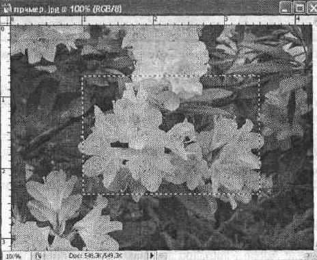 Границы выделенной области