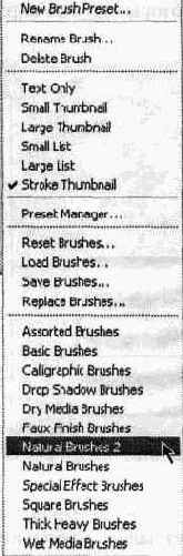 Инструмент Brush