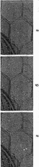 Инструмент Patch