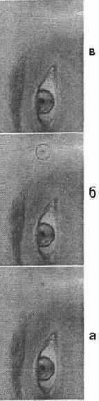 Инструмент Spot Healing Brush