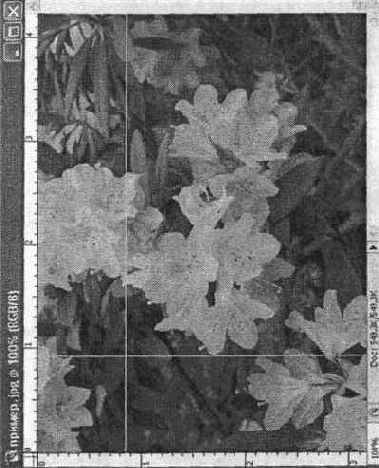 Измерительные линейки