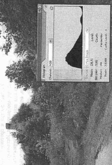 Панель Histogram