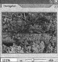 Панель Navigator