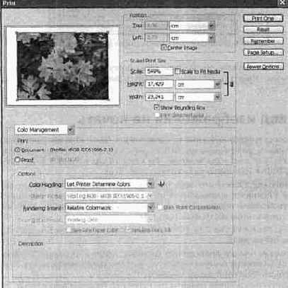 Вывод изображения на печать
