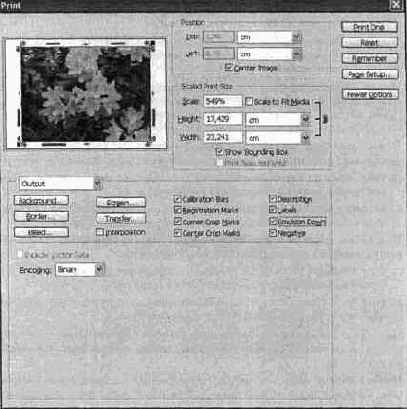 Вывод изображения на печать
