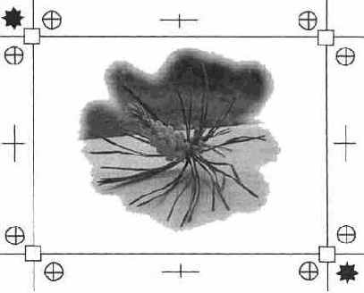 Вывод изображения на печать