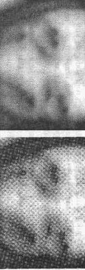 Взаимодействие Adobe Photoshop CS 2 со сканерами и цифровыми камерами.