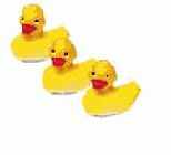 ����� �������� ����