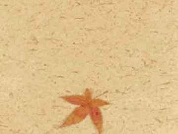 ������ JPEG