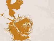 ���������� � ������� GIF