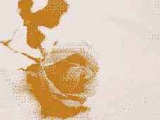 ���������� � ������� GIF