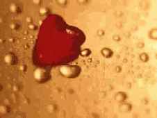 ������� ������������ � ������ PhotoShop � ImageReady