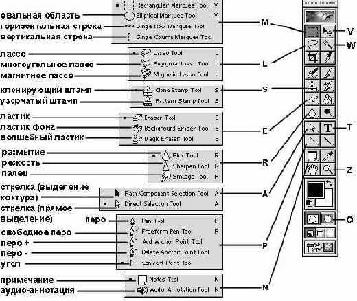 �����������