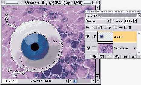 ����������� �����������