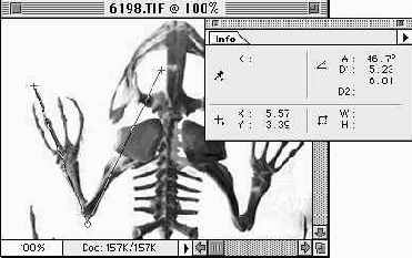 ������������� ����������