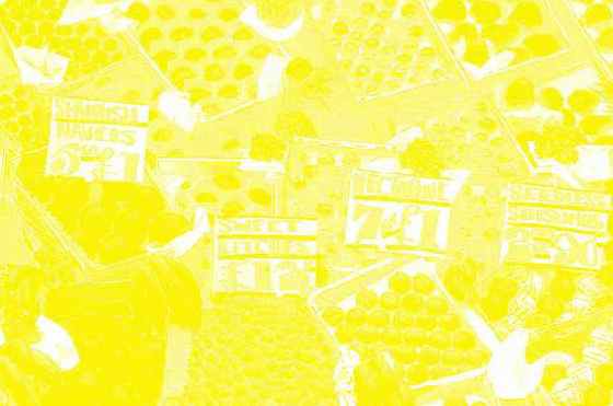 ������� ��������