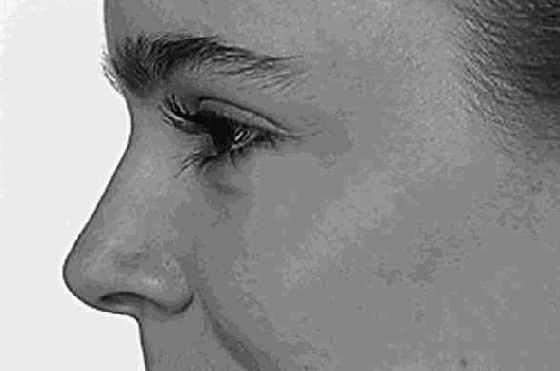 �������, ��������� � �����������