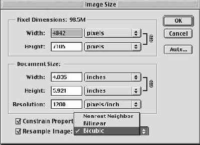 ���������� ���� Image Size