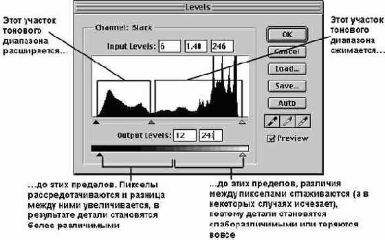 ������� Levels