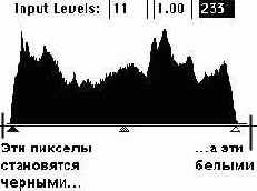 ����� Input Levels