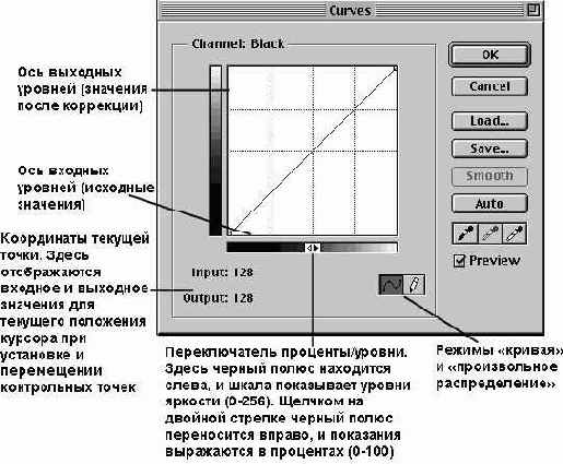 ���������� ���� Curves