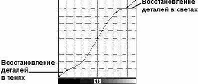 ���������� ���� Curves