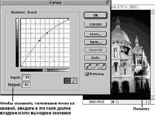 ���������� ���� Curves