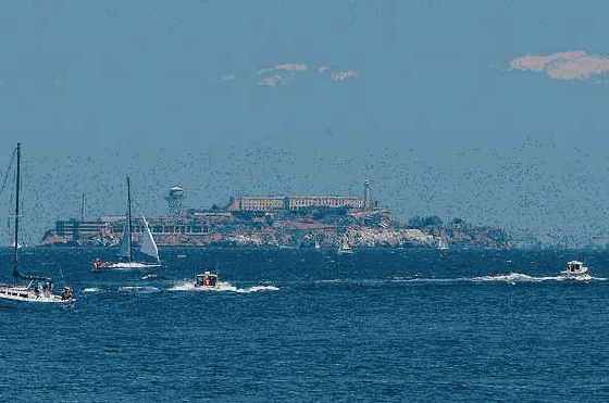 ������������ �������������� ������� �����������