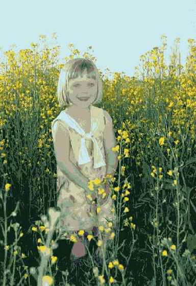 �������������� ������ �������������� �����