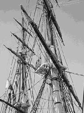 ����� Radius