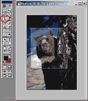 ��������������� �����������