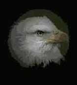 ������ � �����������.