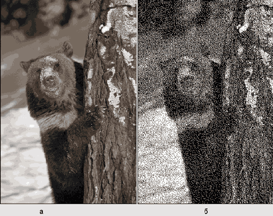 �����-����� ����������� � ���������� �����������, �� ������ �������� ��������