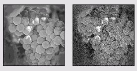 ��� ����������� � ������ ��������� ����������