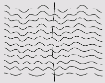 ����� ���� �������� ��� ������