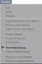 ������� ���� Function