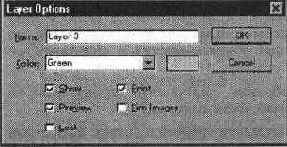 Диалоговое окно Layer Options (Параметры слоя)