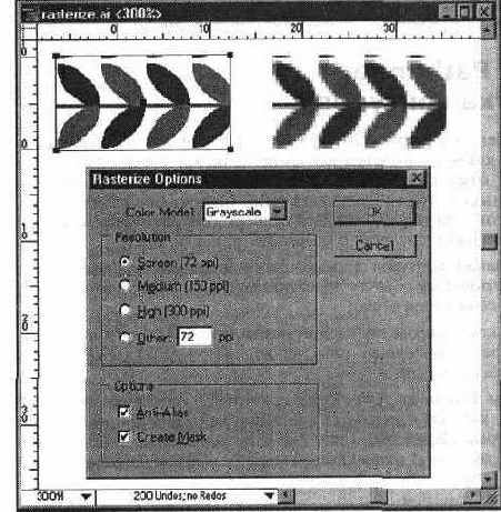 Диалоговое окно Rasterize Options