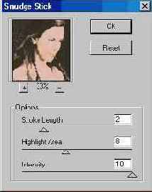 ������ Smudge Stick