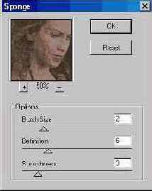 ������ Sponge