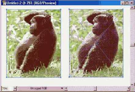 ������� Open � Place