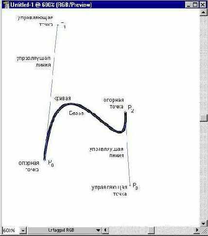 ������ �����