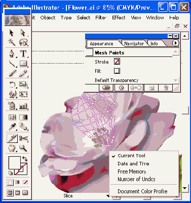 ������ ���������