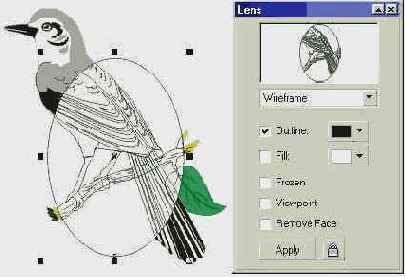 Применение каркасной линзы с отменой заливки