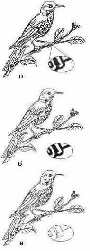 Точечное монохромное изображение