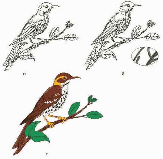 Этапы ручной векторизации штрихового